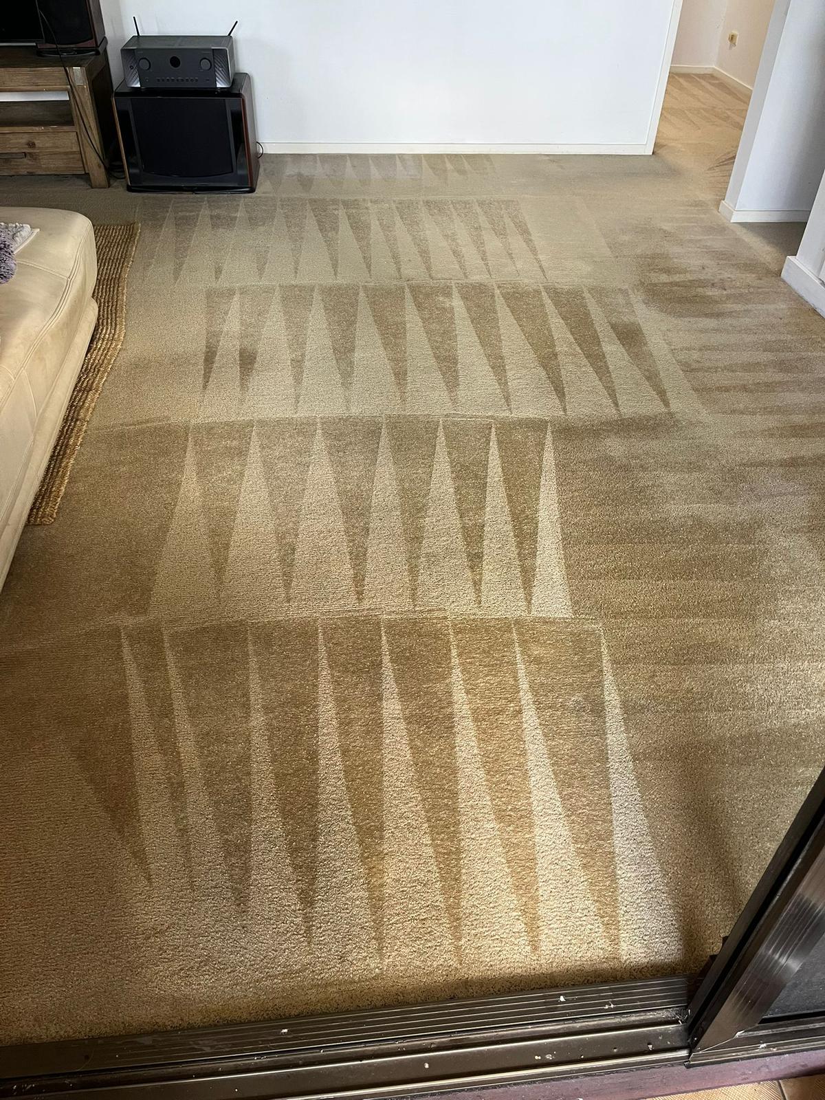 Carpet with fresh steam-clean triangle pattern