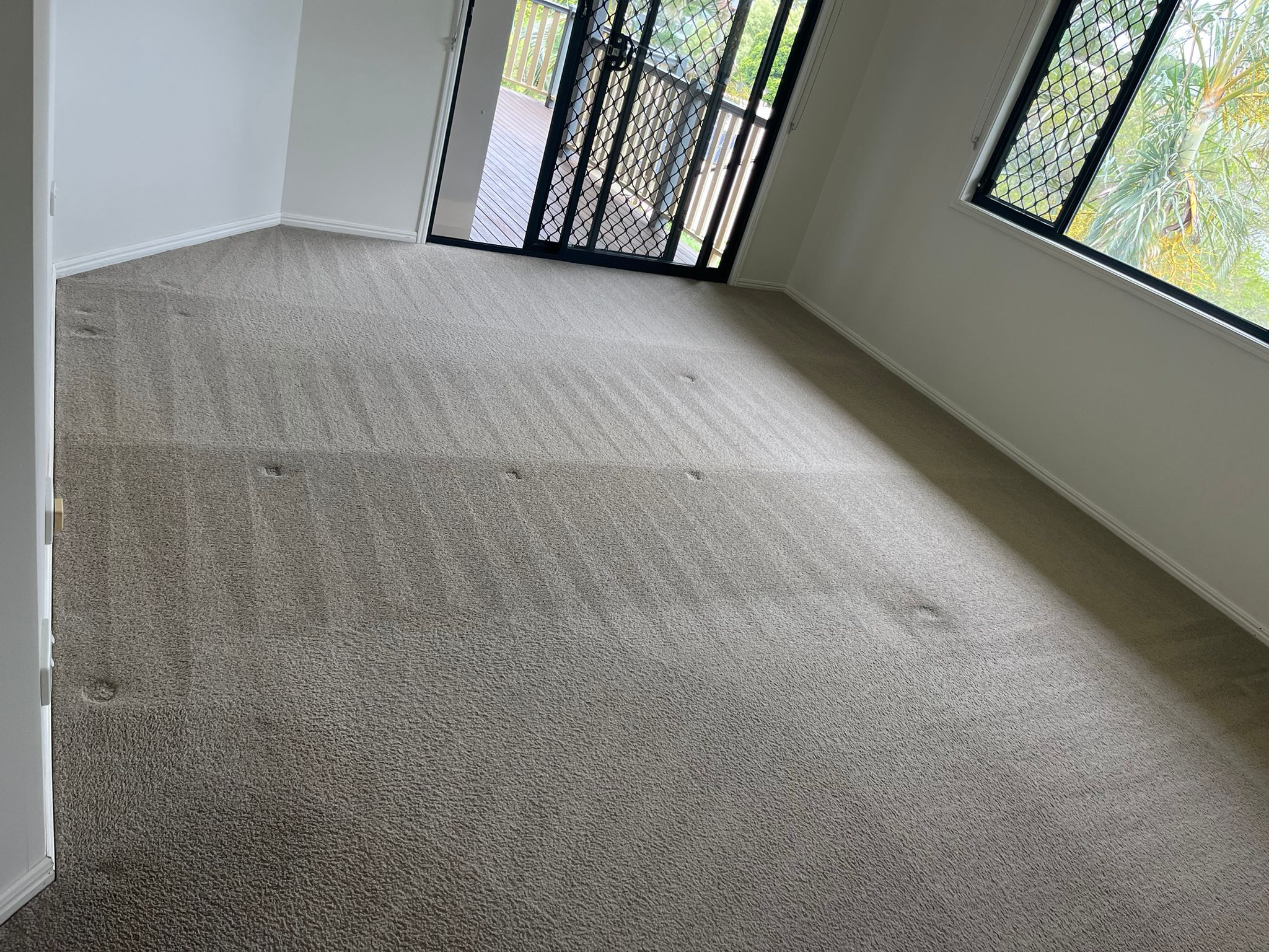 Bedroom carpet with fresh steam-clean marks, natural light
